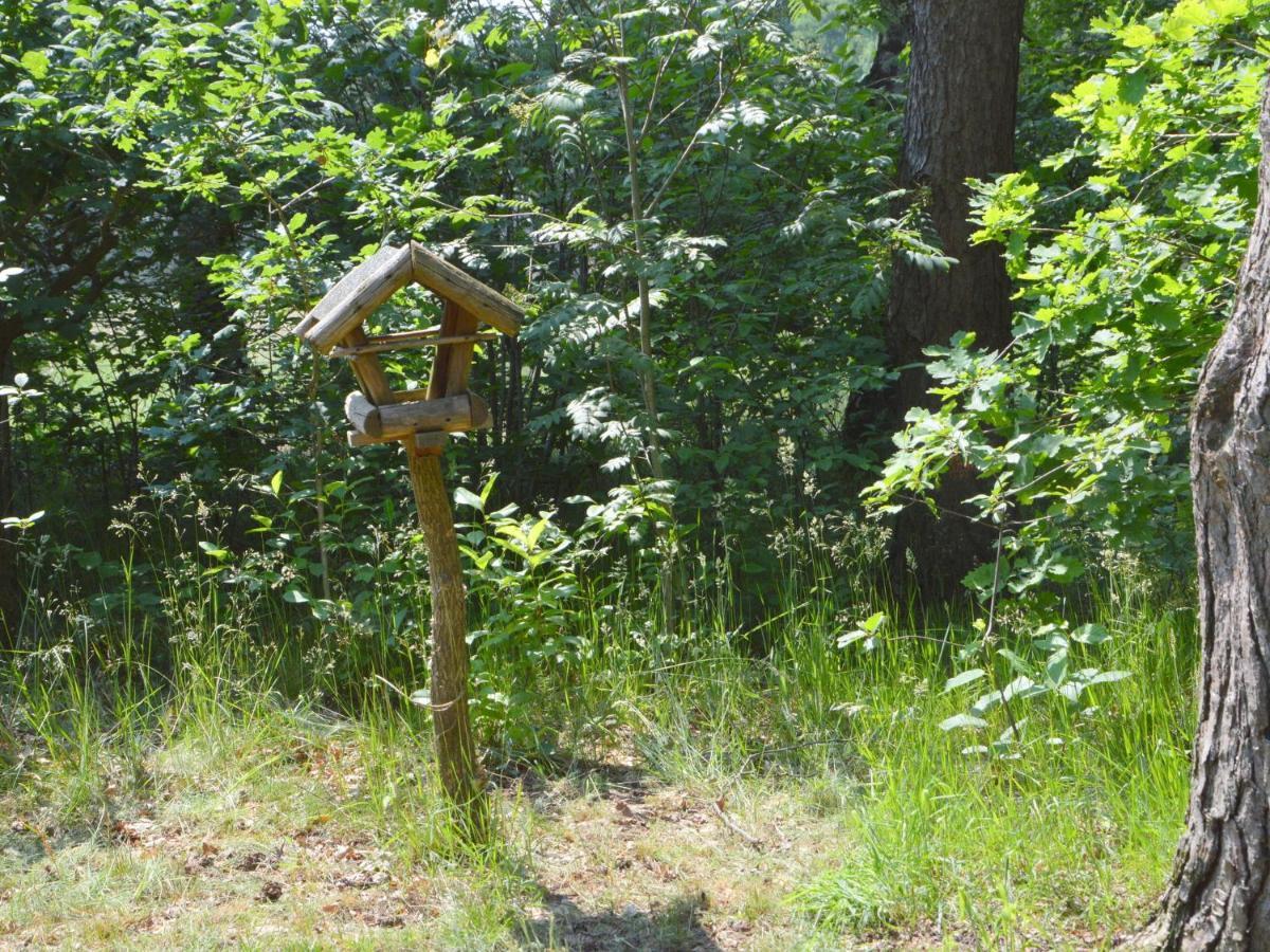Detached Holiday Home With Sauna Large Garden Stramproy 外观 照片